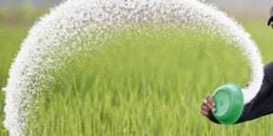 சீனாவின் குவின்ங்டாவோ நிறுவனத்திற்கு இலங்கையின் உரக்கூட்டுத்தாபனம் தடை